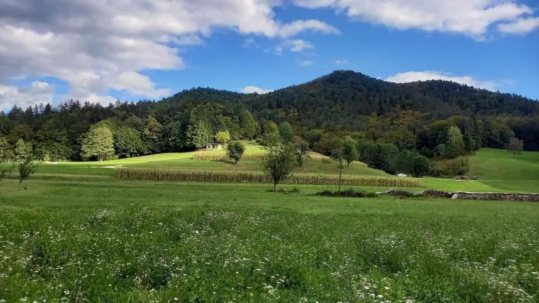 Appartamento Apartma Pod Pugledom Lubiana Esterno foto